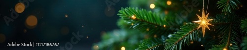 Evergreen tree adorned with sparkling star decoration, christmas tree, twinkling star