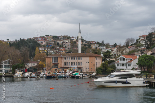 Beautiful view of the Bosphorus shore and Chubuklu Pier on a sunny day, full of residential houses photo