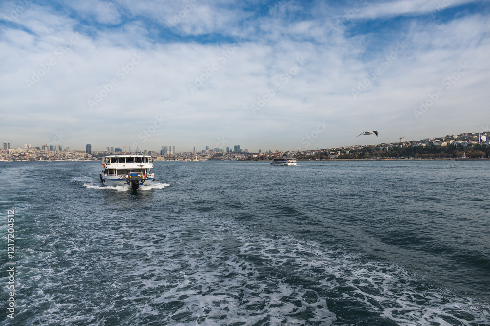 Beautiful view of the Bosphorus on a cloudy day, seagulls and boats Istanbul, Turkey. Beautiful view of the Bosphorus on a cloudy day, seagulls and boats Istanbul, Turkey.