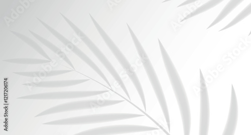 Soft shadows from palm leaves on a white background, abstract minimalist style.