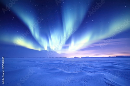 Wallpaper Mural The Aurora Borealis over a snowy landscape, where the night sky is alive with vibrant lights dancing above the pristine snow, creating a magical winter scene. Torontodigital.ca