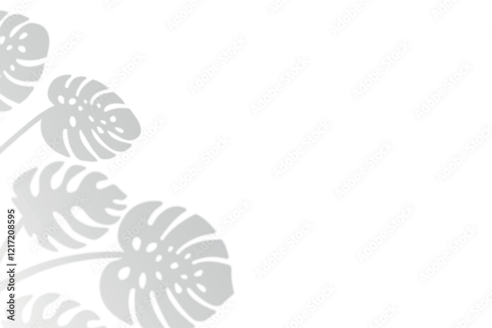 Silhouettes of monstera leaves, soft gray shadow on a white background, minimalist design. Silhouettes of monstera leaves, soft gray shadow on a white background, minimalist design.