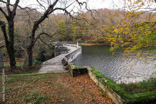 Scenery of autumn nature in Belgrade forest. Pathway near Istanbul, Turkey.