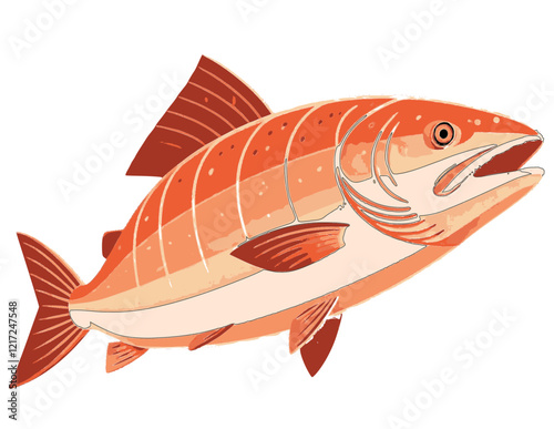 Illustration of vibrant salmon fish with detailed fins and scales