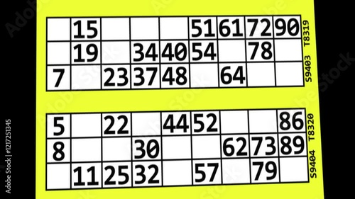 Bingo ticket animation