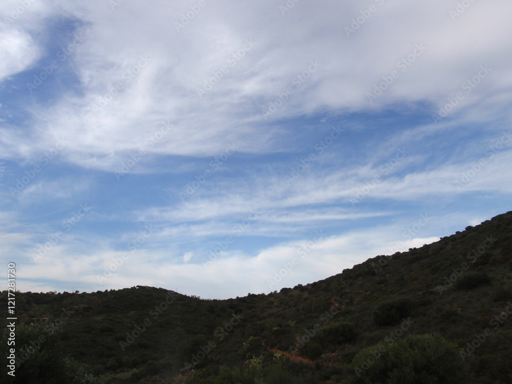 Cielo Cielo