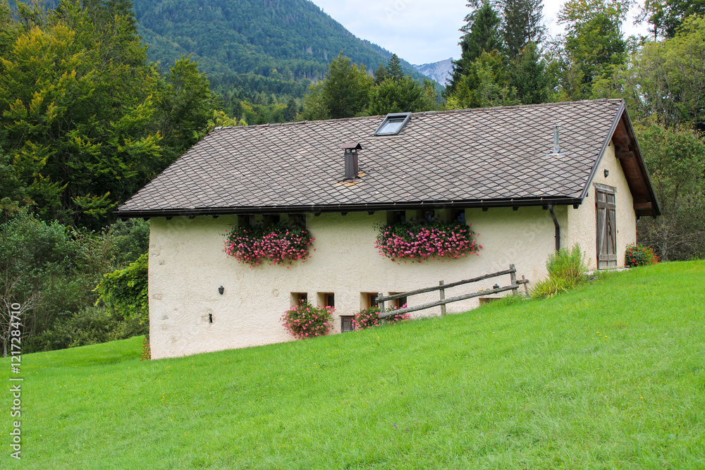 Fototapeta premium Baita di montagna con tetto di tegole di ardesia finestre con fiorere di fiori lilla nel prato verde con bosco e cielo
