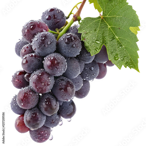 Ripe purple grape bunch with subtle highlights, designed for wine label graphics, organic branding, and product ads Vector File