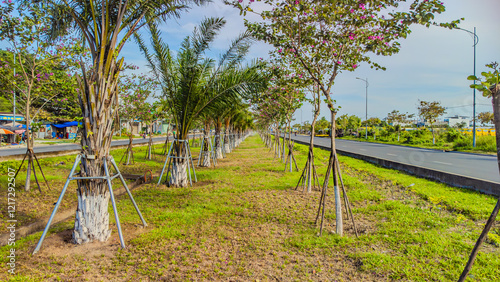 Suburban highway.

A double freeway with a lawn and trees separating the lanes. The city of Nha Trang in Vietnam is visible in the distance. Aerial photography by drone.