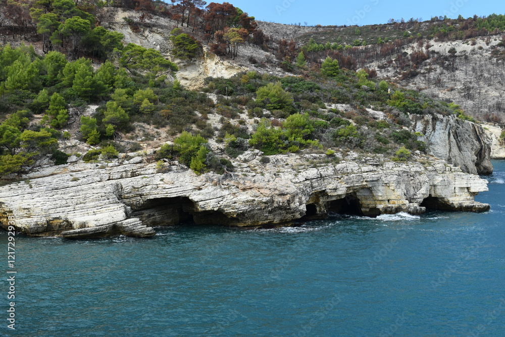 Φωτογραφία Gargano, grottes, Cala di Punta dell'Ago, Mattinata⁩⁦, Province de ⁩⁦Foggia⁩⁦, P