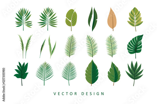 set of palm tree leaves vector design isolated illustration