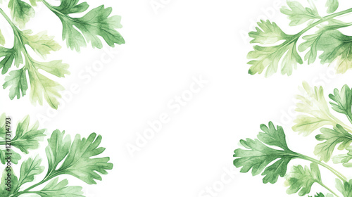 Fresh cilantro leaves frame a blank space, perfect for design projects, cooking themes, or decoration ideas. photo