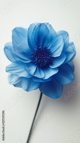 Beautiful blue flower with delicate petals and slender green stem against a l...