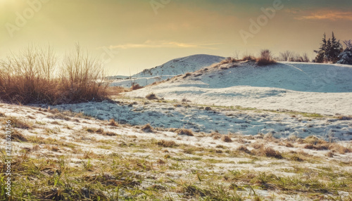 Wallpaper Mural Snowy landscape with grass emerging under sunlight Torontodigital.ca