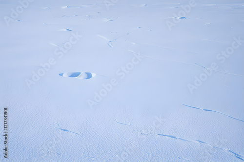 雪原の寂しさ photo