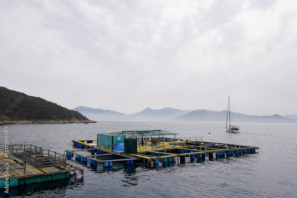 Fototapeta premium Floating rafts of fishing club in Kau Sai Chau, Sai Kung, Hong Kong