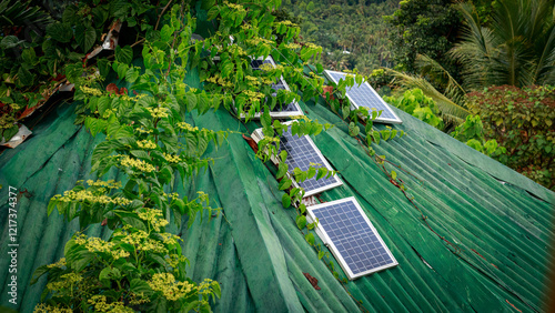 Close-up of solar panels installed on a green roof showing the use of sustainable and renewable energy to promote an eco-friendly lifestyle