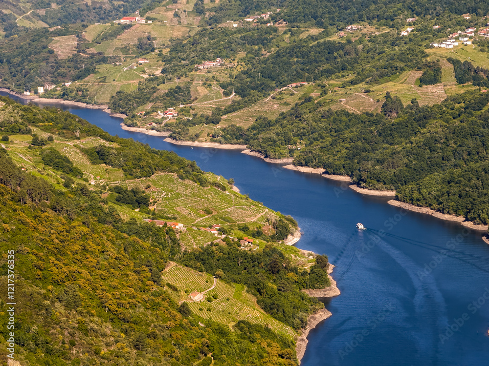 Naklejka premium Serene River with Vineyard-Lined Hills and a Boat