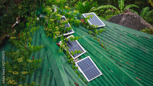 Solar panel installation on a green, leaf-covered roof surrounded by lush tropical vegetation showing the use of eco and sustainable solution in daily life to mitigate climate change