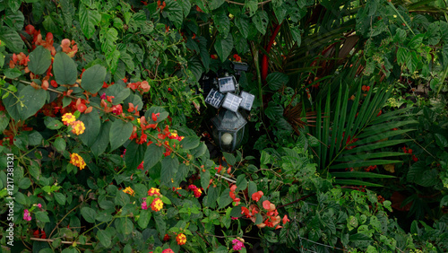 Lantern powered by solar panels surrounded by dense greenery and vibrant flowers of a garden that shows the use of alternative ecological sustainable solutions in ordinary daily life