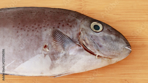 A close-up view of a reticulate unicornfish or Naso reticulatus resting on a wooden surface, highlighting its scales, eye, and fin