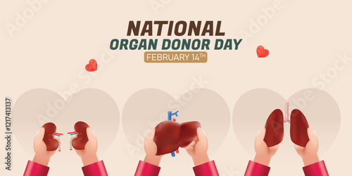 National Organ Donor Day with Kidneys, Lungs,  Liver for Transplantation, Saving Lives and Health Care Illustration