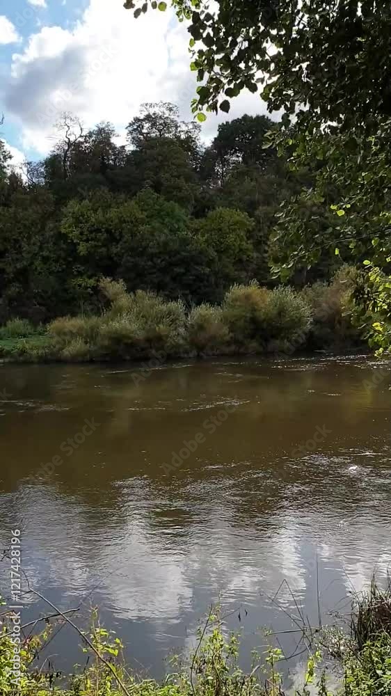High waters on the river Trent in Nottinghamshire, UK. High waters on the river Trent in Nottinghamshire, UK.