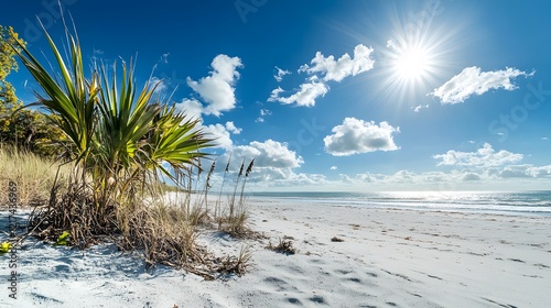 Vibrant Tropical Beach with Lush Greenery and Bright Sunlight