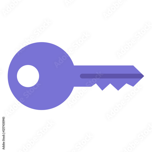 Vector Design Key Icon Style