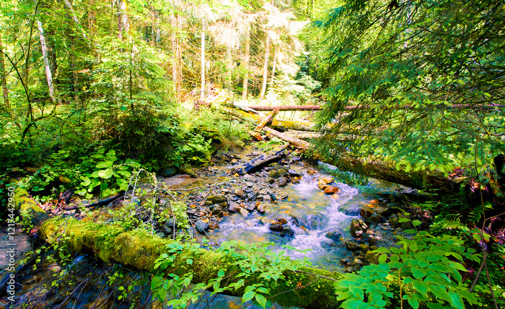 wonderful mountains view, famous Croatia, Plitvice lakes, amazing  morning scene