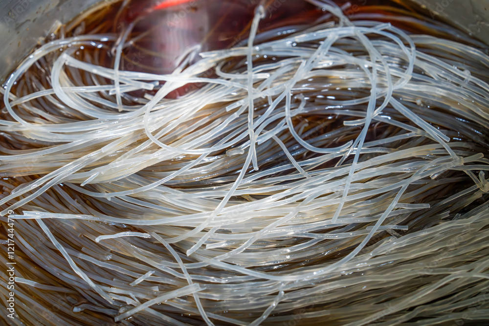 braising glass noodles with soy sauce in the pot braising glass noodles with soy sauce in the pot