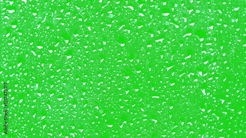 Dropping water droplets on a green screen background perfect for rain weather and creative projects