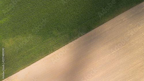 Aerial Foto of two fields with corn and crops