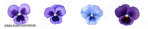 Set of 4 purple and blue pansy flowers isolated on white background PNG.AI GENERATED