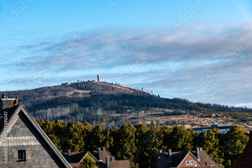 Wurmberg Schaden durch den Borkenkäfer photo