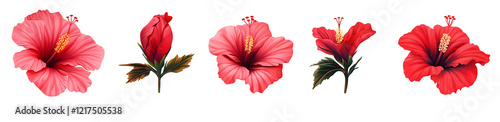 Set of red hibiscus flowers isolated on white background PNG.AI GENERATED