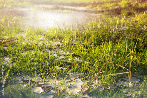 grass and water, frozen grass, spring, winter