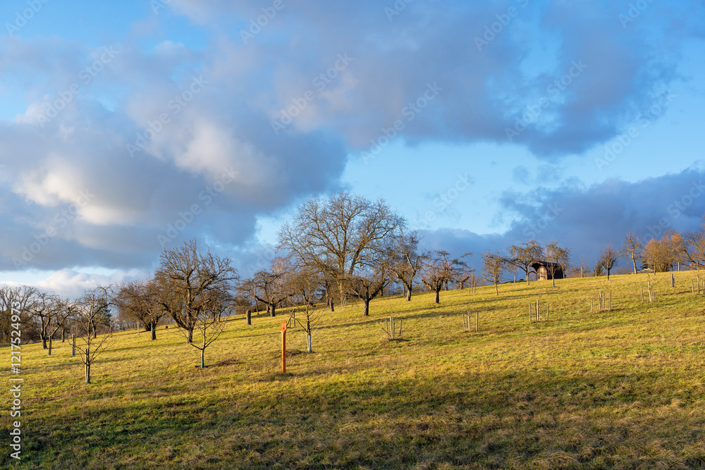 Fototapeta premium Sersheim Landschaft