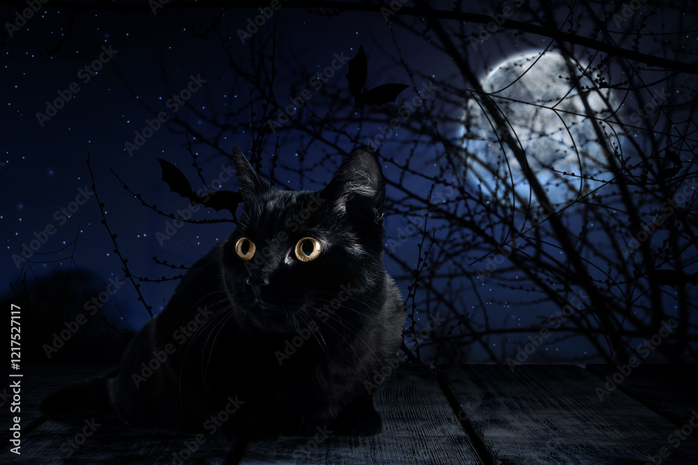 Fototapeta premium Creepy black cat and bats at night under full moon light