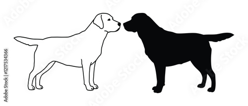 Labradors silhouettes and line art Vector isolated with white background