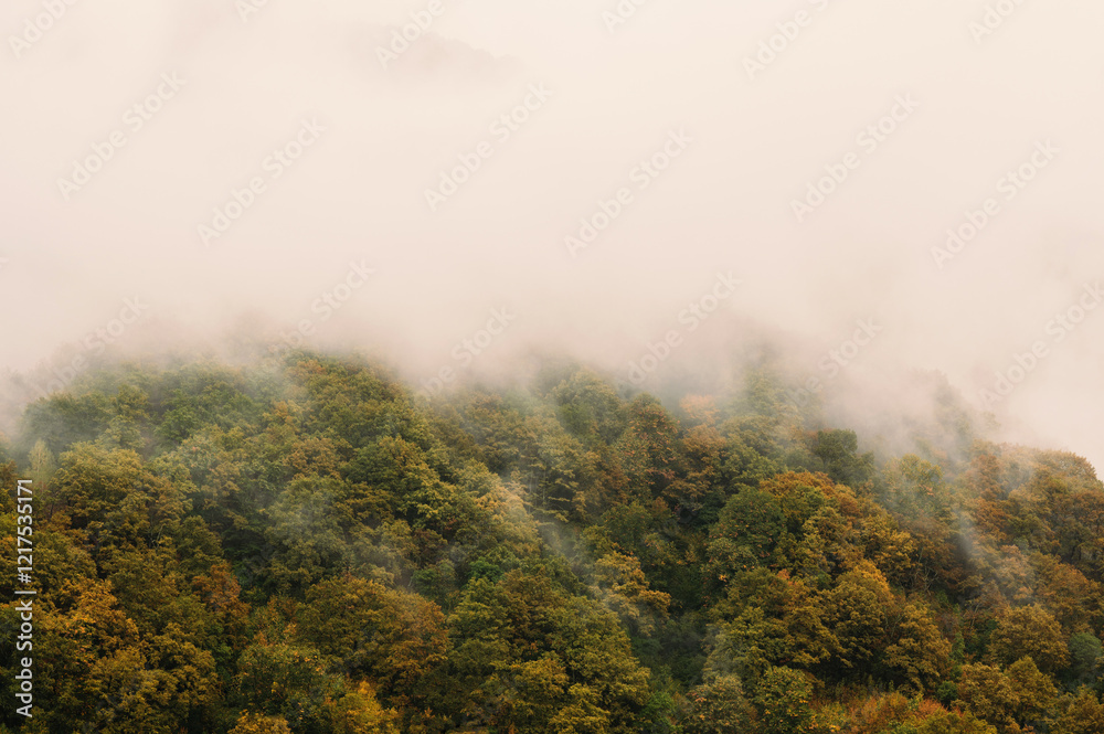 A calming and serene mist softly envelops a vibrant autumn forest, skillfully creating an enchanting ethereal landscape A calming and serene mist softly envelops a vibrant autumn forest, skillfully creating an enchanting ethereal landscape