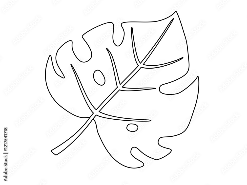 Φωτογραφία Leaf of a tropical plant - monstera, beautiful, carved, tropical leaf with holes - vector linear picture for coloring