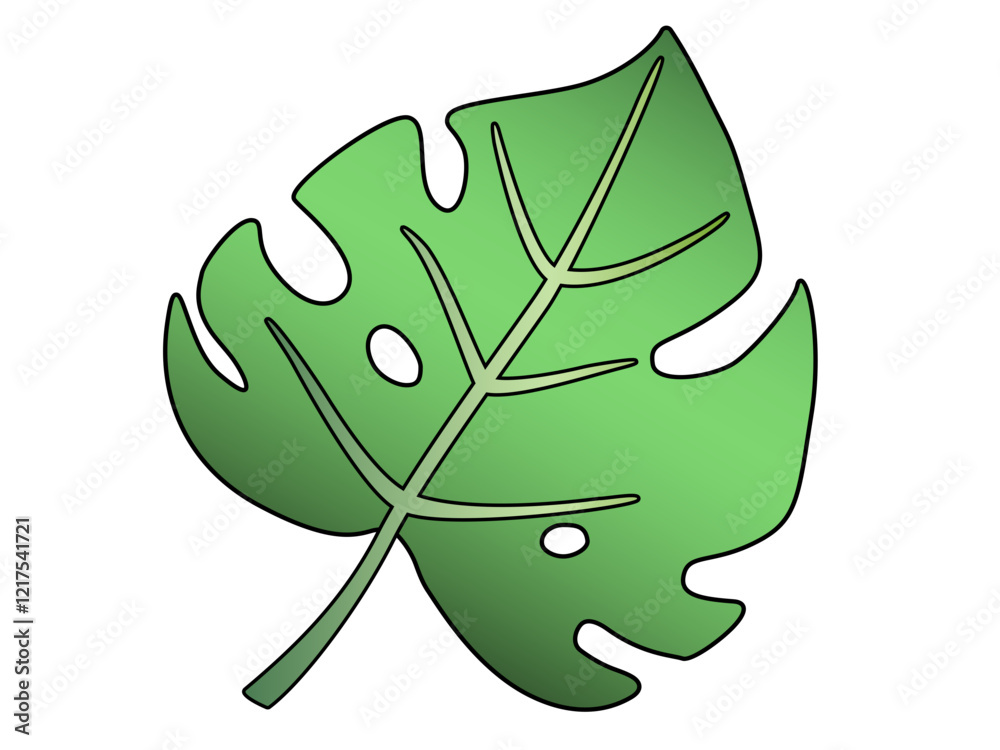 Φωτογραφία Leaf of a tropical plant - monstera, beautiful, carved, green tropical leaf with