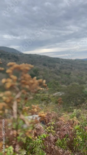 Dry leaf resting in a mountain landscape with shades of yellow, brown, and green, creating a beautiful scene