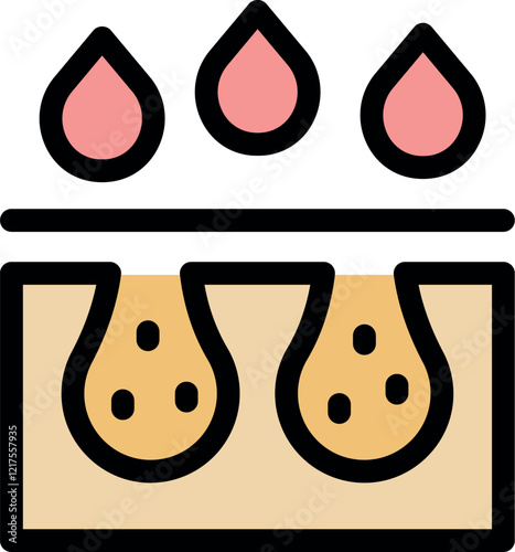 Skin hydration process showing sebaceous glands and water drops being absorbed, improving skin health and appearance