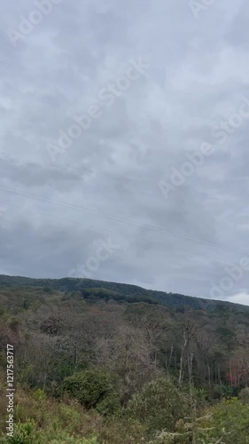 Landscape of the Andes mountains, with lush green vegetation and cloudy skie