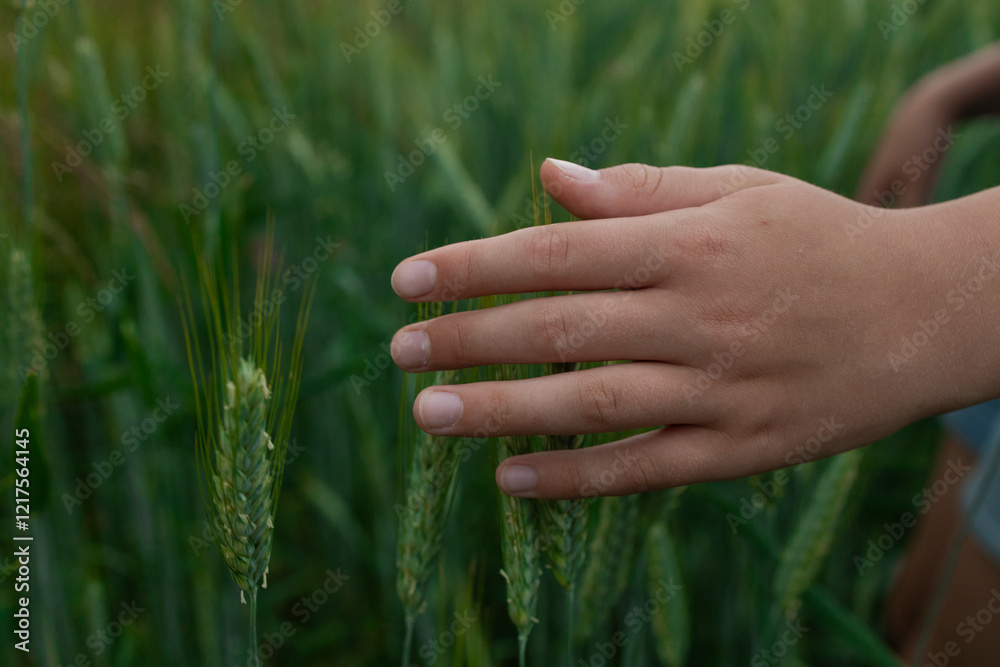 Female hand green grass nature relaxation relax palm. High quality photo
