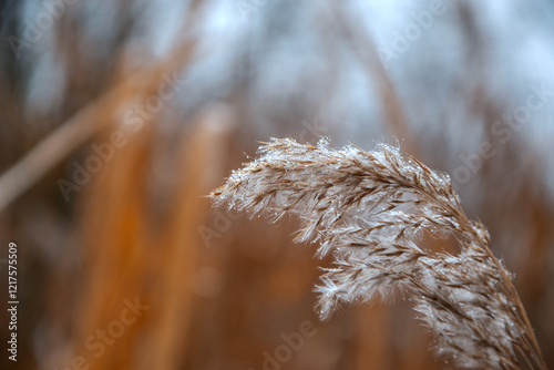 dew on the grass, background, concept of relaxation