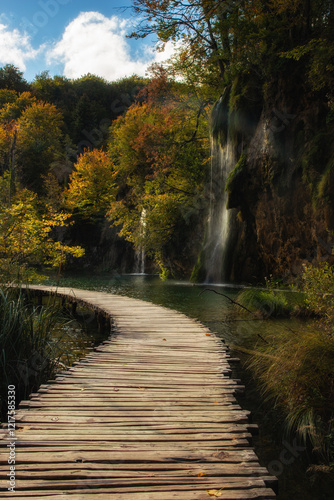 A curved wooden walkway through a forest with a cascading waterfall