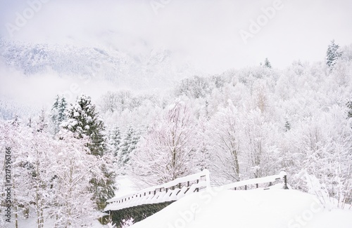 Amidst the serene beauty of Plaiul Foii, snow drapes over trees and a wooden bridge, creating a tranquil winter wonderland reflected in the stillness of the pond photo